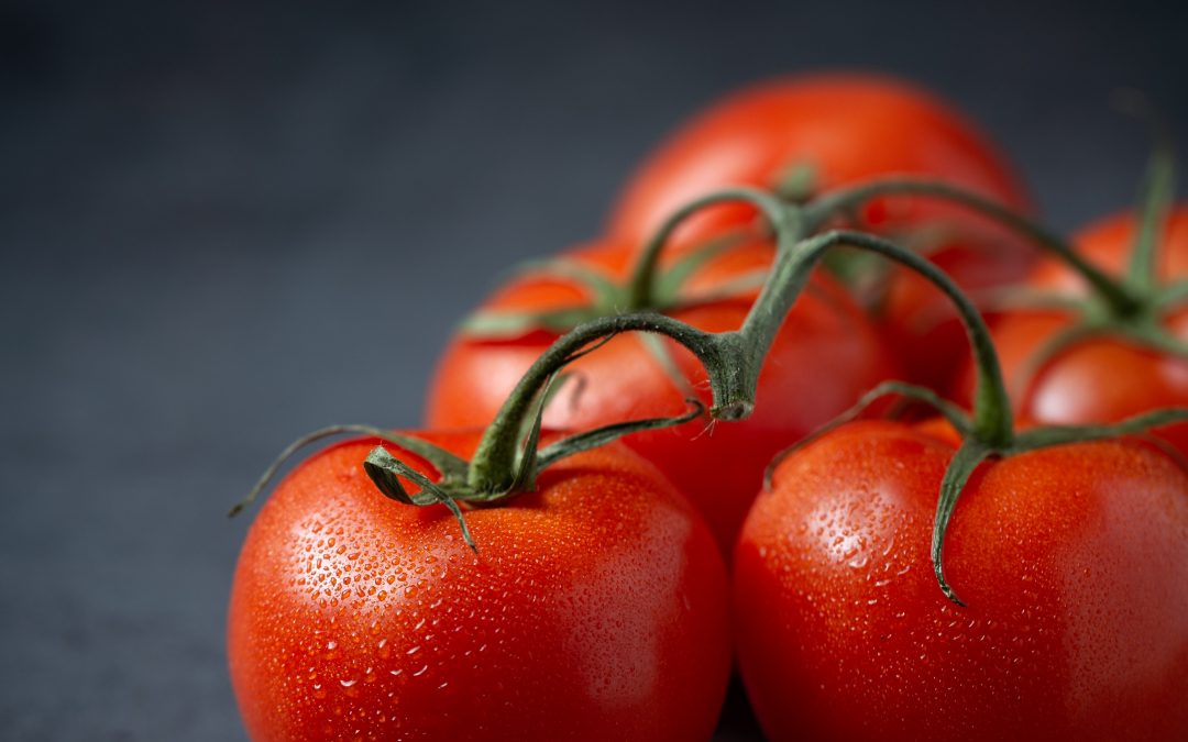 El tomate, un gran antioxidante