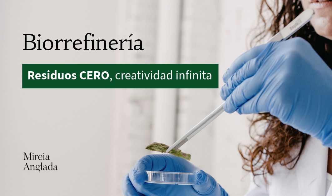 Biorrefinería: cuando el “residuo” deja de ser residuo